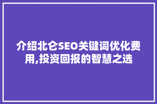 介绍北仑SEO关键词优化费用,投资回报的智慧之选