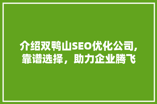 介绍双鸭山SEO优化公司,靠谱选择，助力企业腾飞