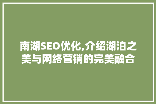 南湖SEO优化,介绍湖泊之美与网络营销的完美融合  第1张