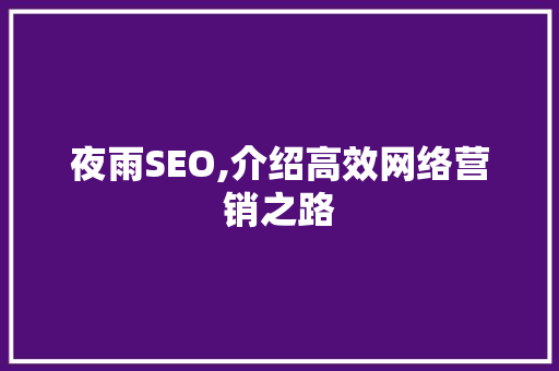 夜雨SEO,介绍高效网络营销之路