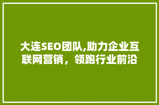 大连SEO团队,助力企业互联网营销，领跑行业前沿