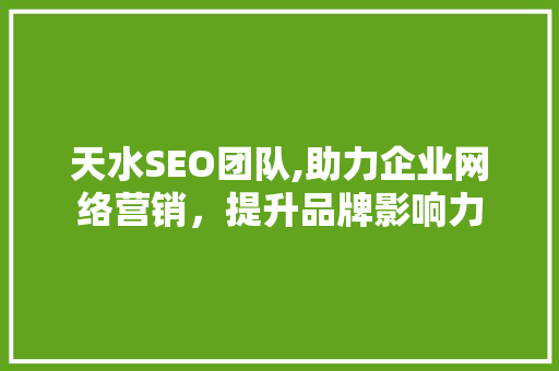 天水SEO团队,助力企业网络营销，提升品牌影响力