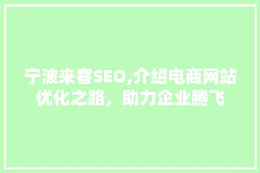 宁波来客SEO,介绍电商网站优化之路，助力企业腾飞