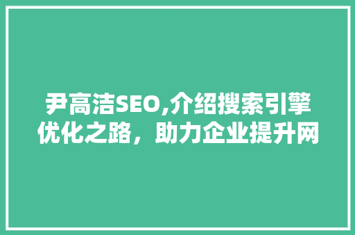 尹高洁SEO,介绍搜索引擎优化之路，助力企业提升网络竞争力