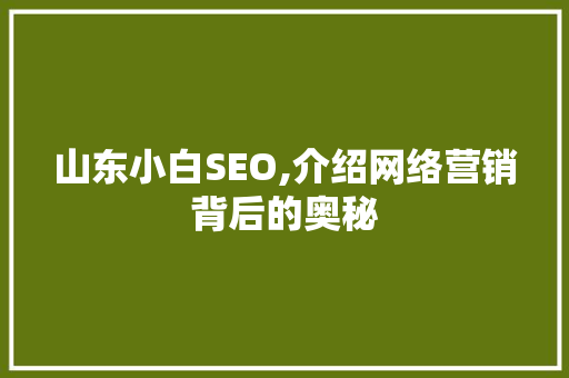 山东小白SEO,介绍网络营销背后的奥秘
