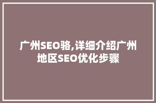 广州SEO骆,详细介绍广州地区SEO优化步骤