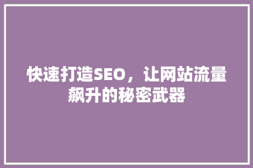 快速打造SEO，让网站流量飙升的秘密武器