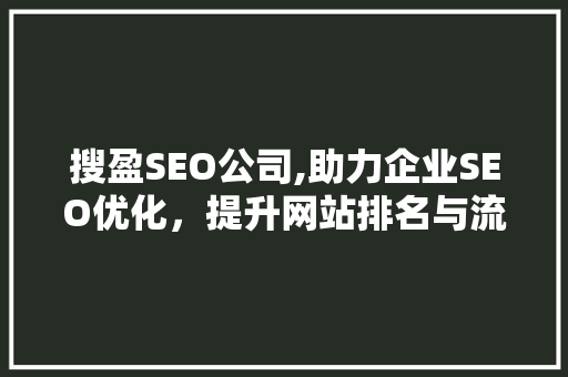 搜盈SEO公司,助力企业SEO优化，提升网站排名与流量  第1张