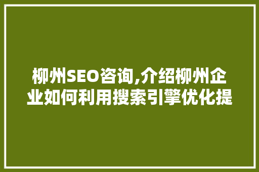 柳州SEO咨询,介绍柳州企业如何利用搜索引擎优化提升品牌影响力