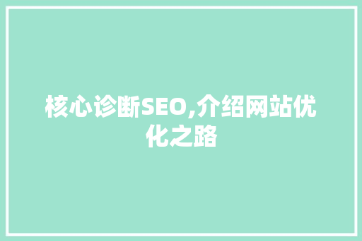核心诊断SEO,介绍网站优化之路