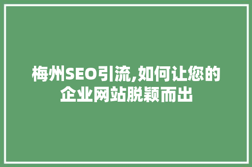 梅州SEO引流,如何让您的企业网站脱颖而出