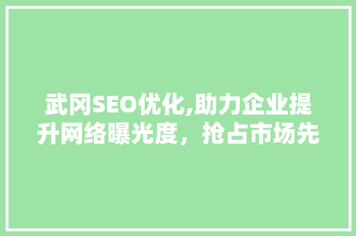 武冈SEO优化,助力企业提升网络曝光度，抢占市场先机