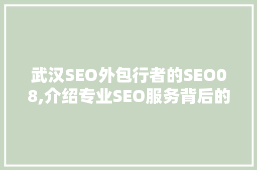 武汉SEO外包行者的SEO08,介绍专业SEO服务背后的奥秘