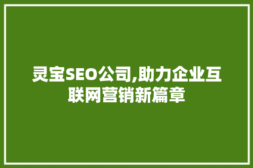 灵宝SEO公司,助力企业互联网营销新篇章