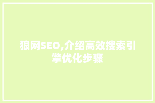 狼网SEO,介绍高效搜索引擎优化步骤  第1张