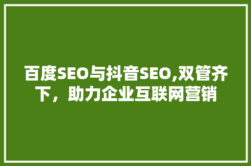 百度SEO与抖音SEO,双管齐下，助力企业互联网营销