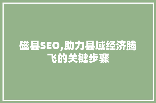 磁县SEO,助力县域经济腾飞的关键步骤