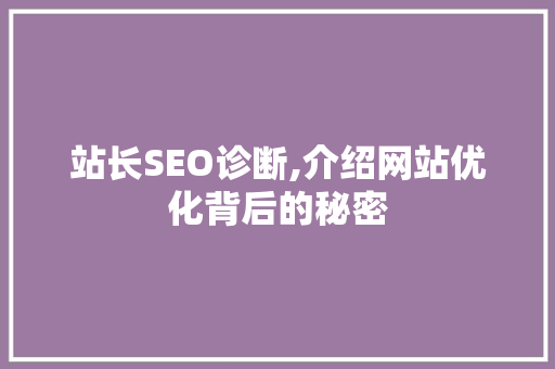 站长SEO诊断,介绍网站优化背后的秘密  第1张