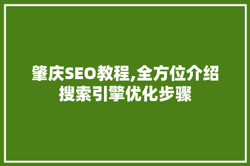 肇庆SEO教程,全方位介绍搜索引擎优化步骤