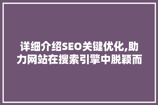 详细介绍SEO关键优化,助力网站在搜索引擎中脱颖而出