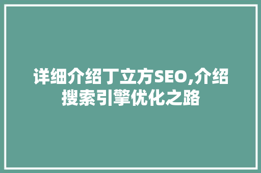 详细介绍丁立方SEO,介绍搜索引擎优化之路