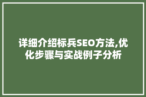 详细介绍标兵SEO方法,优化步骤与实战例子分析