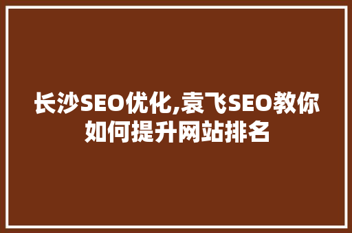 长沙SEO优化,袁飞SEO教你如何提升网站排名  第1张