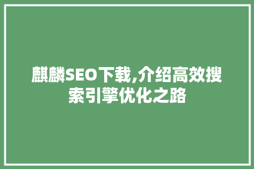 麒麟SEO下载,介绍高效搜索引擎优化之路