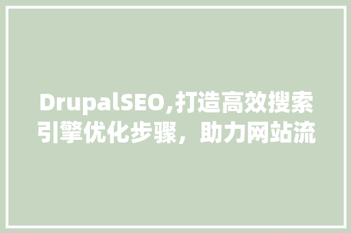 DrupalSEO,打造高效搜索引擎优化步骤，助力网站流量提升  第1张