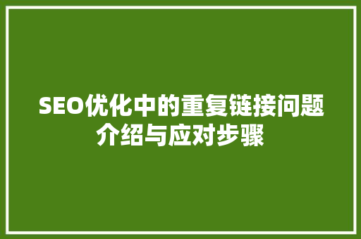 SEO优化中的重复链接问题介绍与应对步骤
