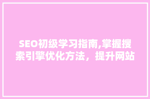 SEO初级学习指南,掌握搜索引擎优化方法，提升网站排名