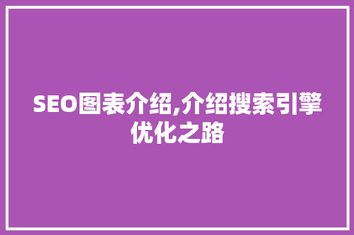 SEO图表介绍,介绍搜索引擎优化之路