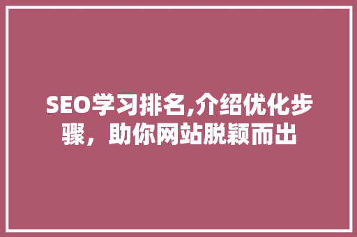 SEO学习排名,介绍优化步骤，助你网站脱颖而出