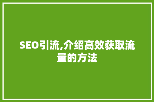 SEO引流,介绍高效获取流量的方法  第1张