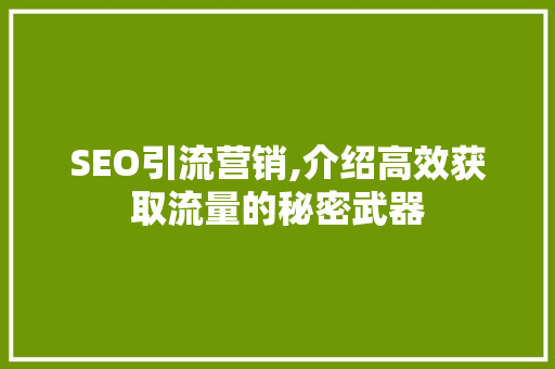 SEO引流营销,介绍高效获取流量的秘密武器