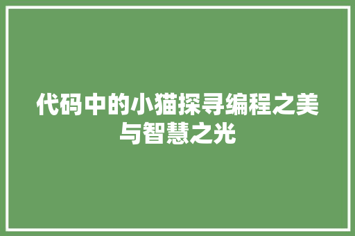代码中的小猫探寻编程之美与智慧之光