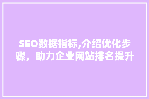 SEO数据指标,介绍优化步骤，助力企业网站排名提升  第1张