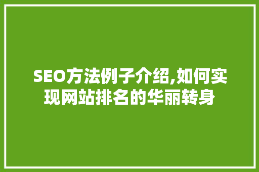 SEO方法例子介绍,如何实现网站排名的华丽转身