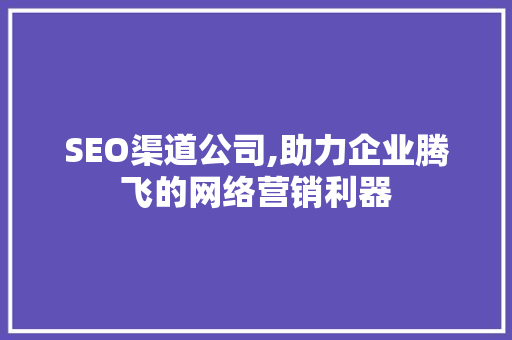 SEO渠道公司,助力企业腾飞的网络营销利器
