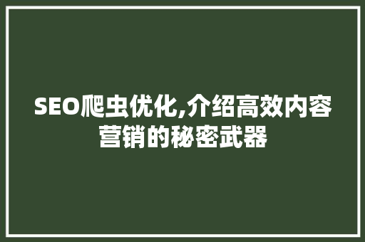 SEO爬虫优化,介绍高效内容营销的秘密武器