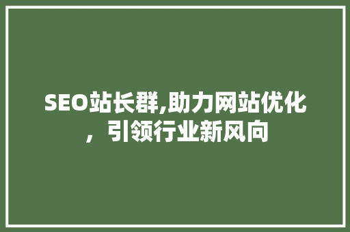 SEO站长群,助力网站优化，引领行业新风向