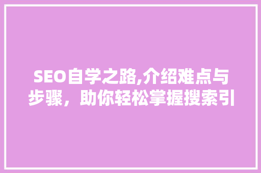 SEO自学之路,介绍难点与步骤，助你轻松掌握搜索引擎优化