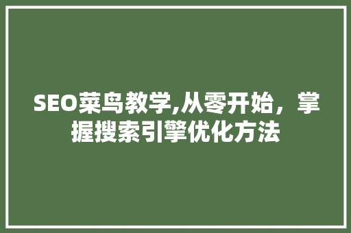 SEO菜鸟教学,从零开始，掌握搜索引擎优化方法