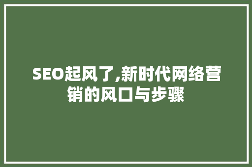 SEO起风了,新时代网络营销的风口与步骤