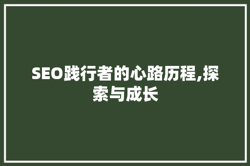 SEO践行者的心路历程,探索与成长
