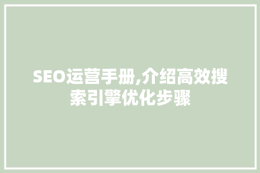 SEO运营手册,介绍高效搜索引擎优化步骤  第1张