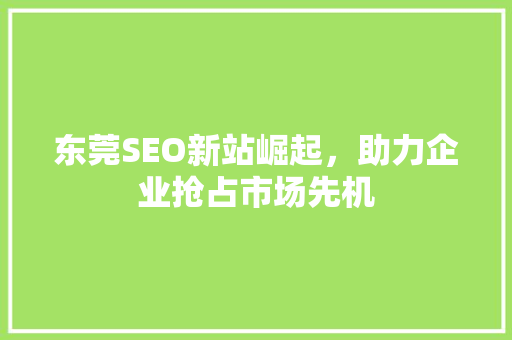 东莞SEO新站崛起，助力企业抢占市场先机  第1张