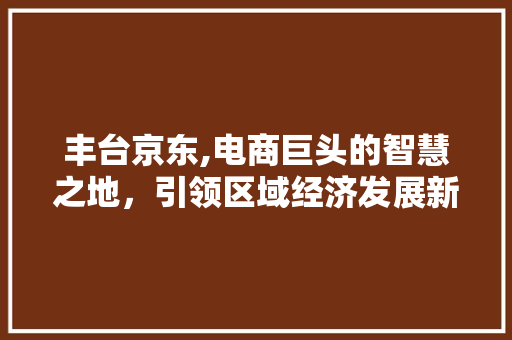 丰台京东,电商巨头的智慧之地，引领区域经济发展新篇章