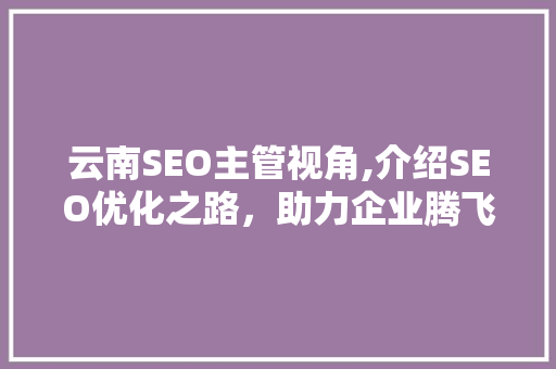 云南SEO主管视角,介绍SEO优化之路，助力企业腾飞