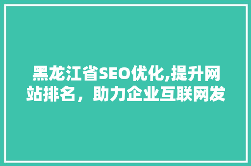 黑龙江省SEO优化,提升网站排名，助力企业互联网发展